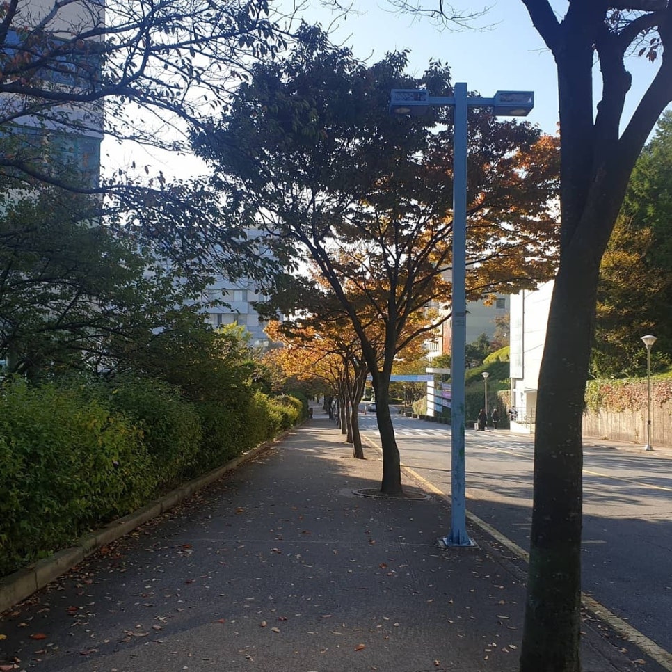 인제지역자활센터 이미지