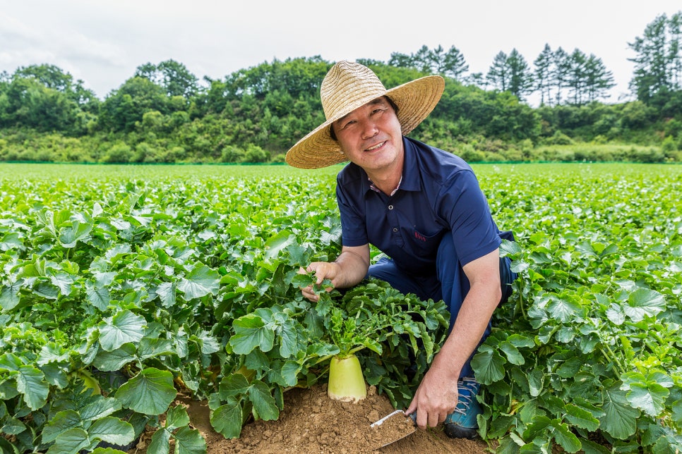 우리농산물유통센터 이미지