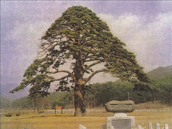 행복의샘(주) 이미지