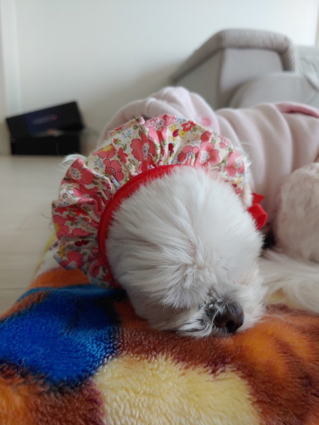 즐거운녀석들 이미지