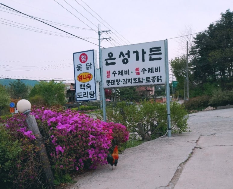 은성수제비 이미지