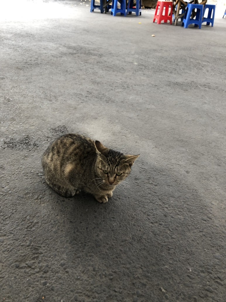 산골농원 이미지