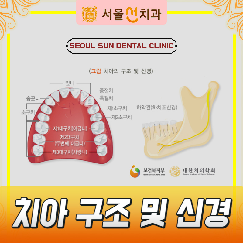 양근영치과 이미지