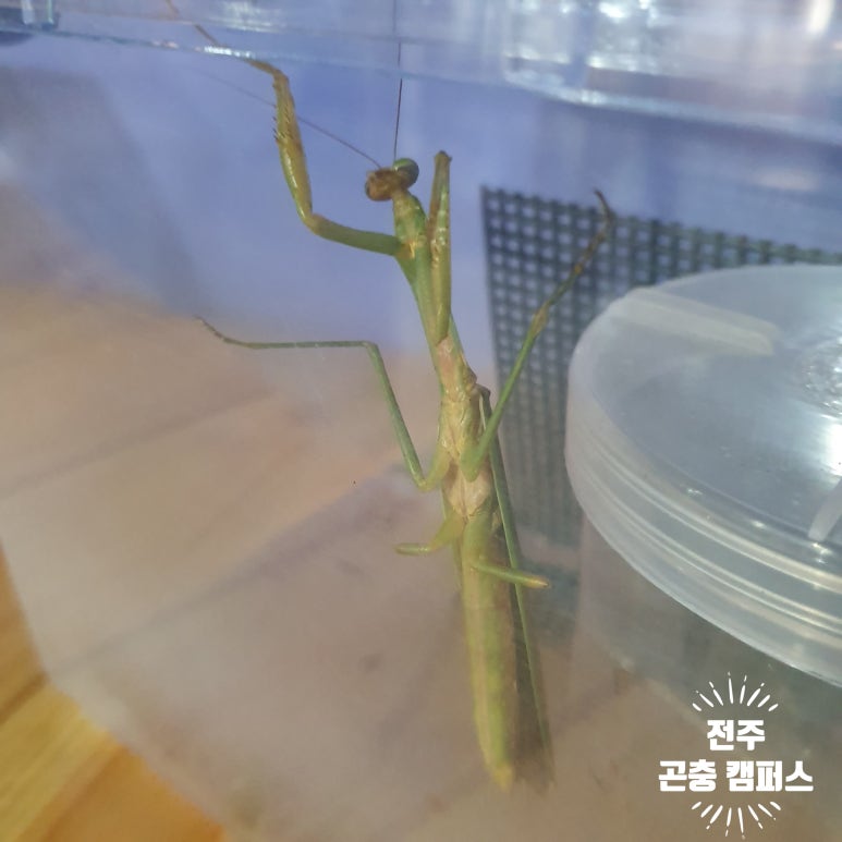 전주곤충캠퍼스 이미지