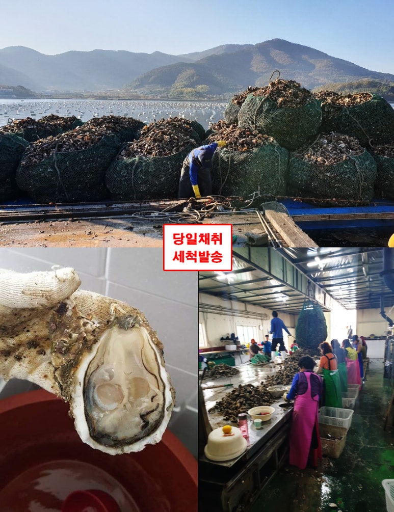 만나굴수산 이미지