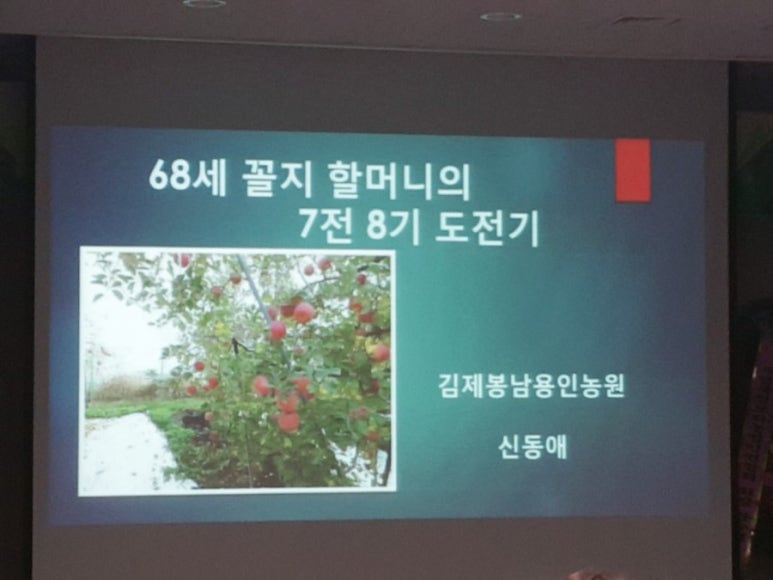 김제 용인농원 이미지