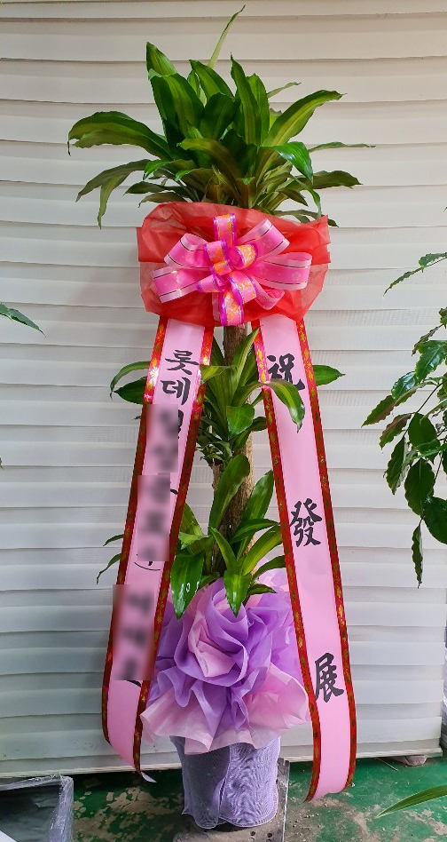 ００７천사꽃배달 이미지