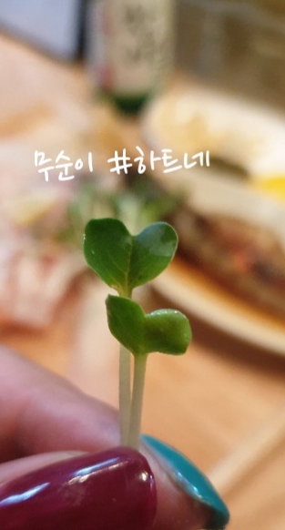인우스시 이미지