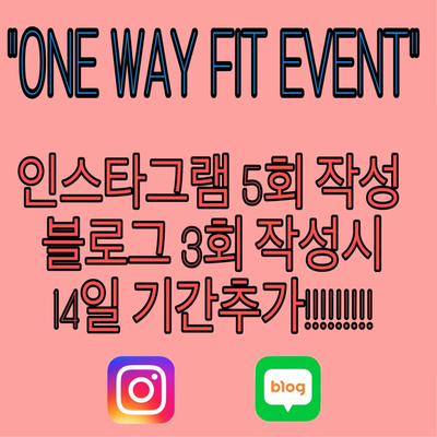 원웨이핏 이미지