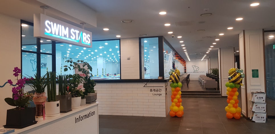 스윔스타즈 이미지
