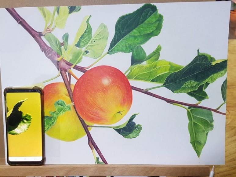(주)뜨레 이미지