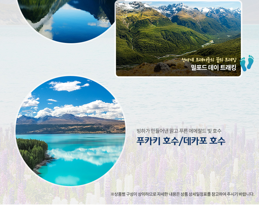 남북관광여행사 이미지