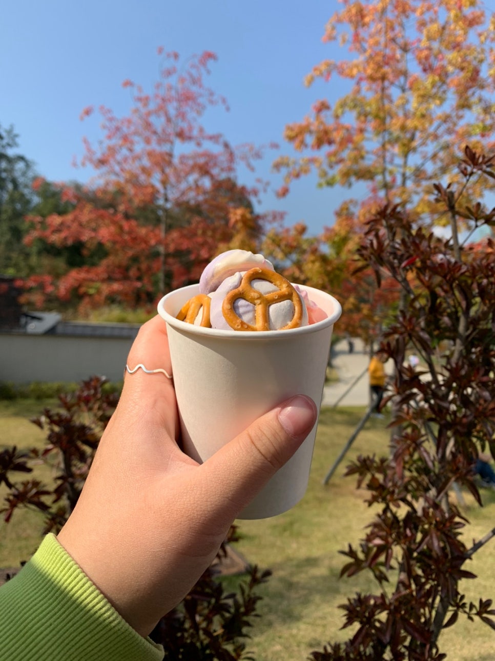 클라블라우 이미지