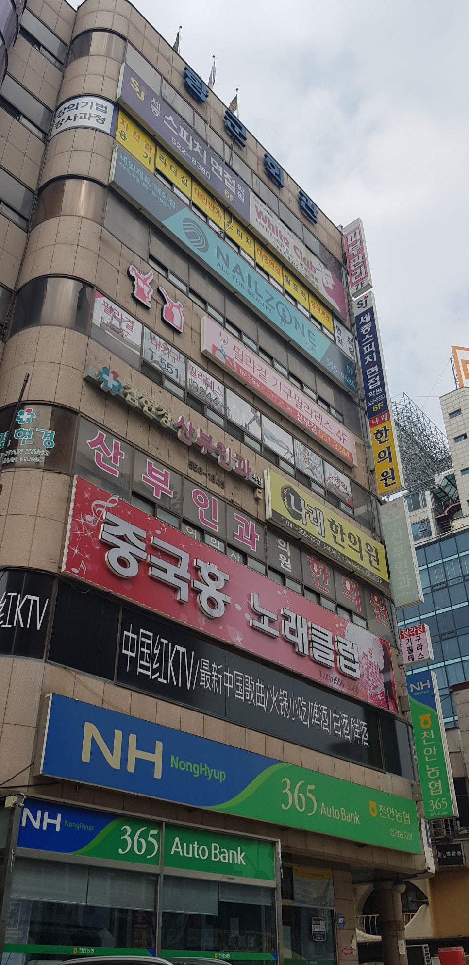 천안세종스피치면접학원 이미지