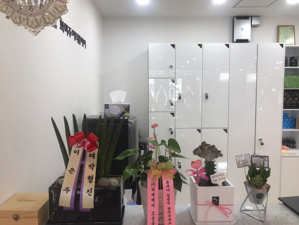 토마토헤어 이미지