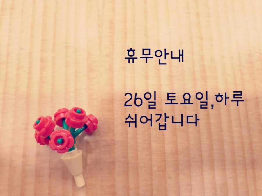 플레이용황 이미지