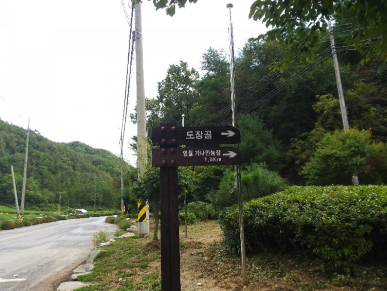 영월가나안농장 이미지