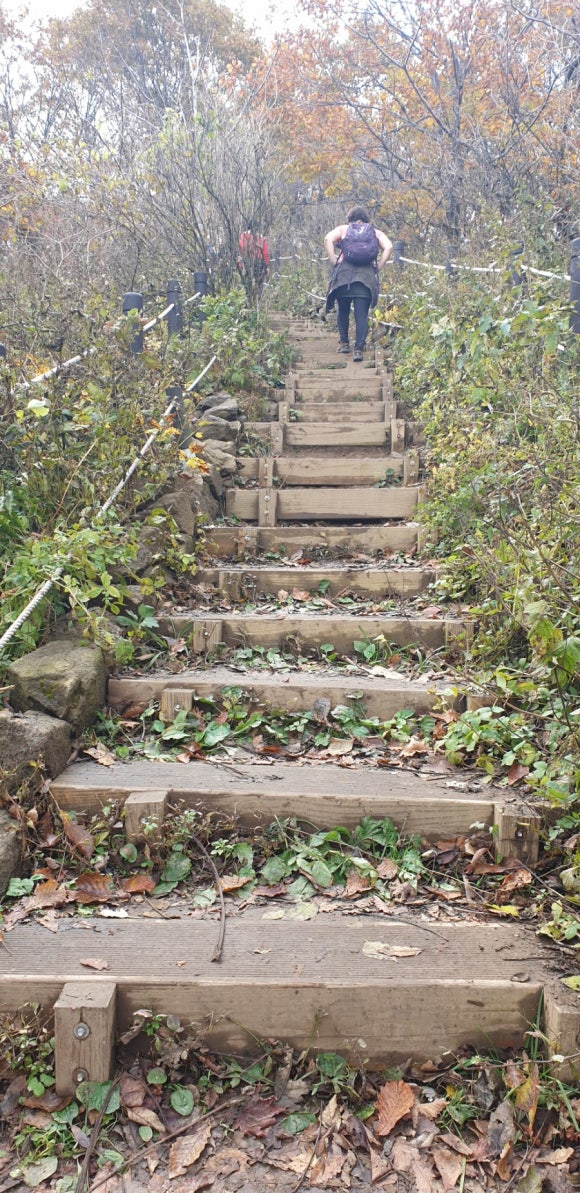 청산화원 이미지
