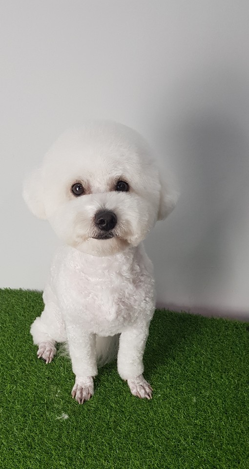 파리바게뜨수원탑동 이미지
