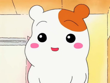 와구아구 이미지
