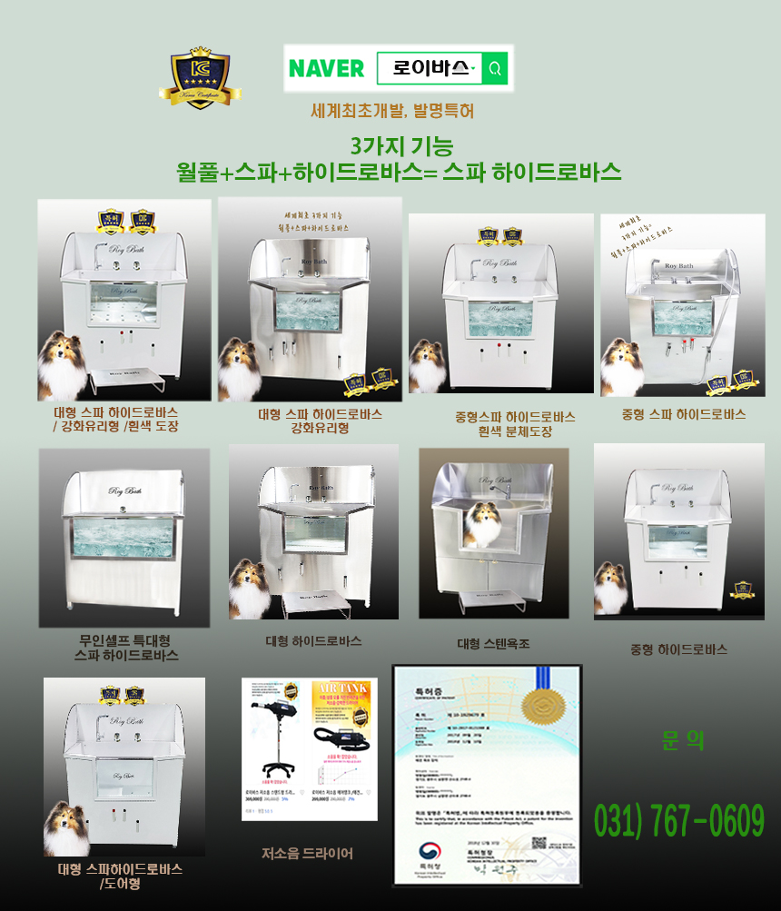 로이특허 이미지