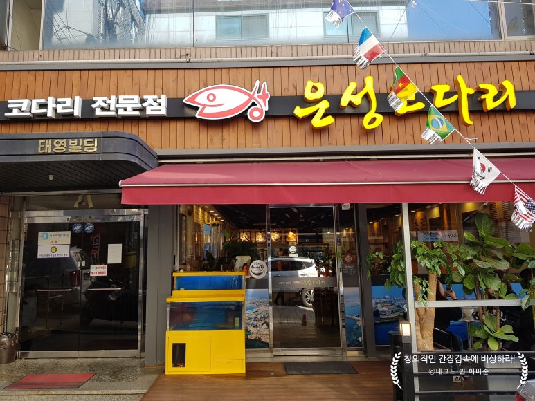 은성코다리 이미지