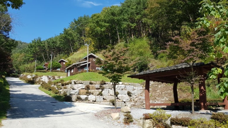 산삼자연휴양림 이미지