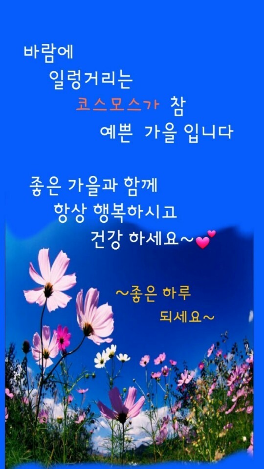 주식회사 인생2막 이미지