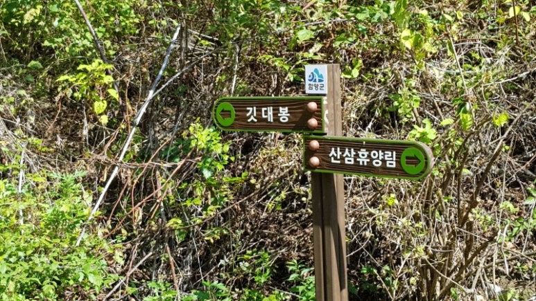 산삼자연휴양림 이미지
