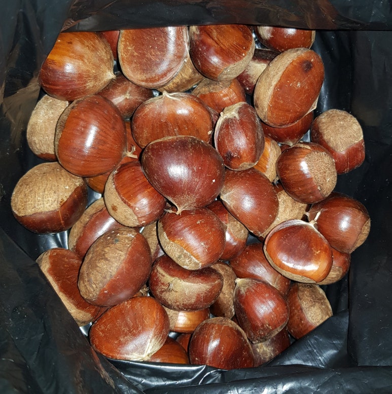 배인유치원 이미지