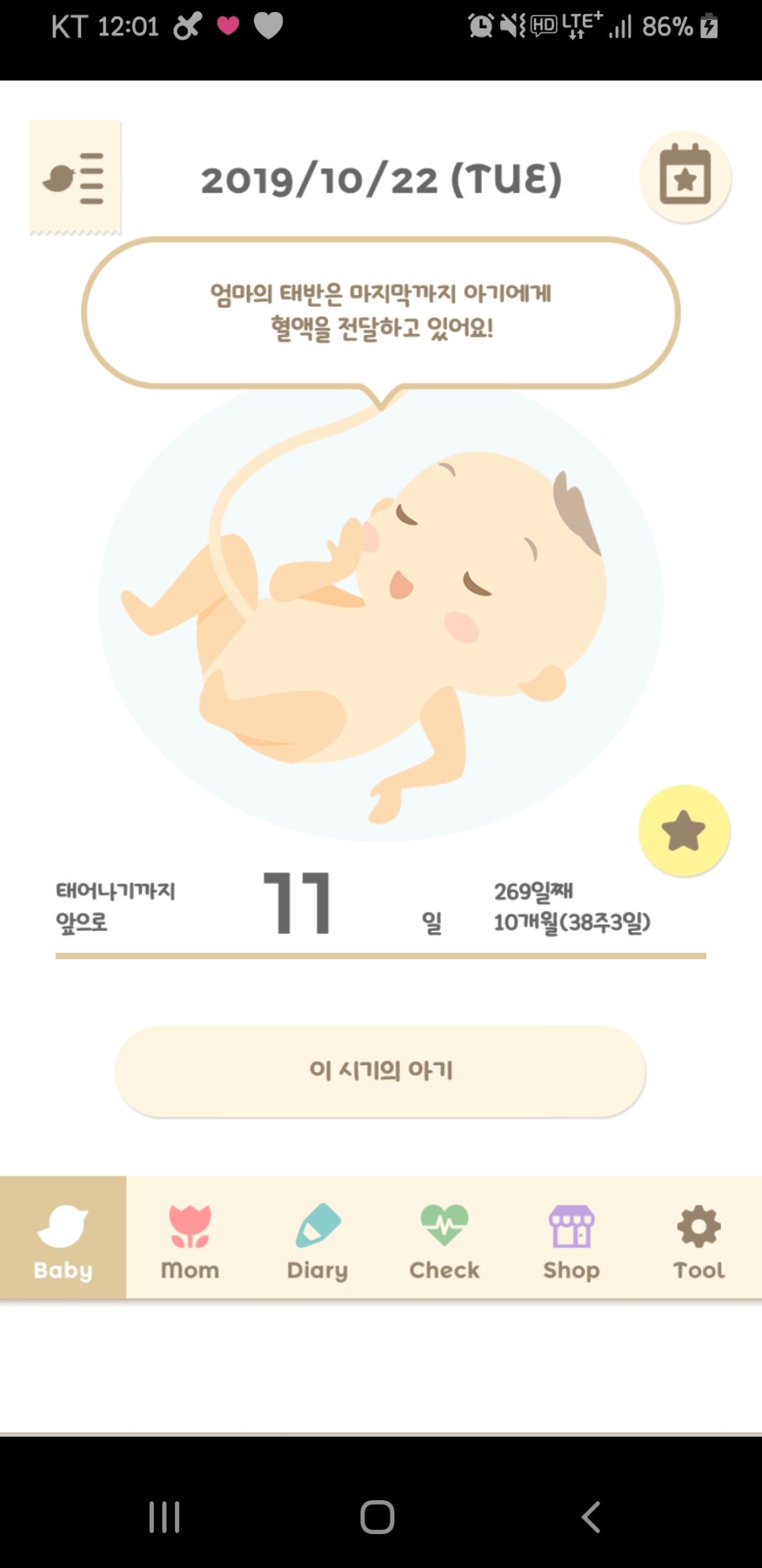 명가안동찜닭 이미지