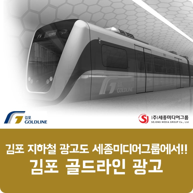 (주)세종미디어그룹 이미지