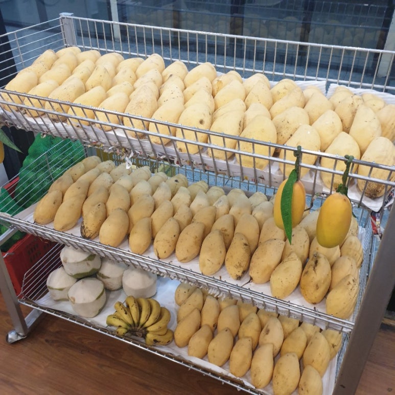 프루츄 이미지
