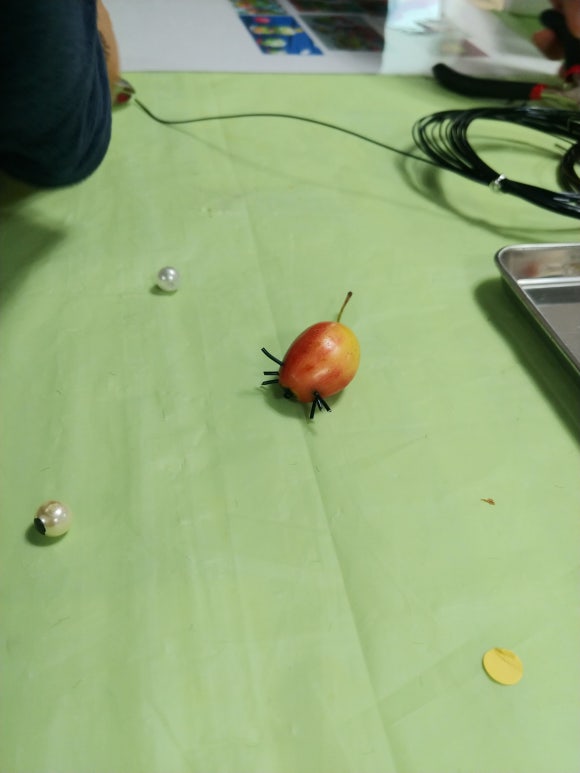 카빙앤조이 이미지