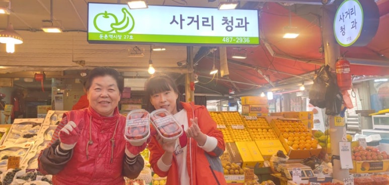 사거리청과 이미지
