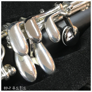 하나우드윈드 이미지