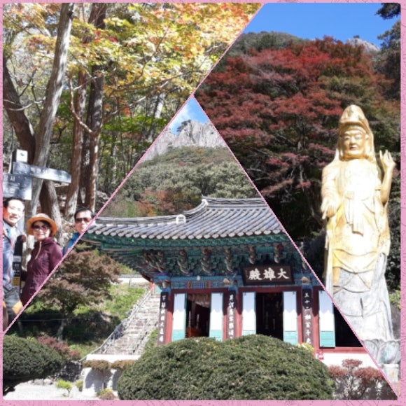 아이더전주평화점 이미지