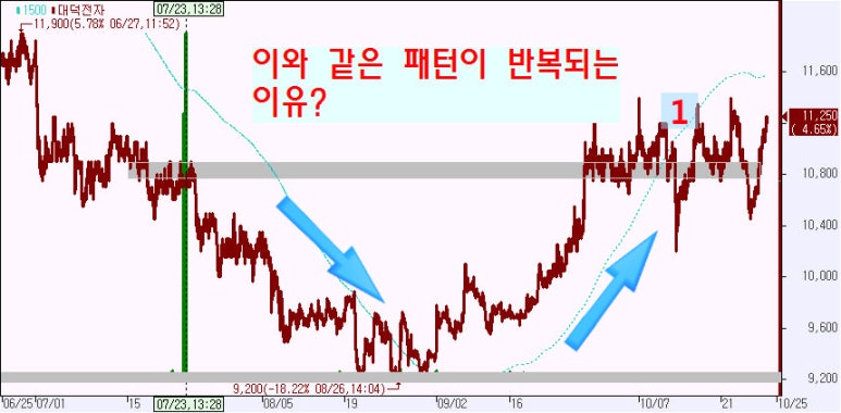 현대디에스 이미지