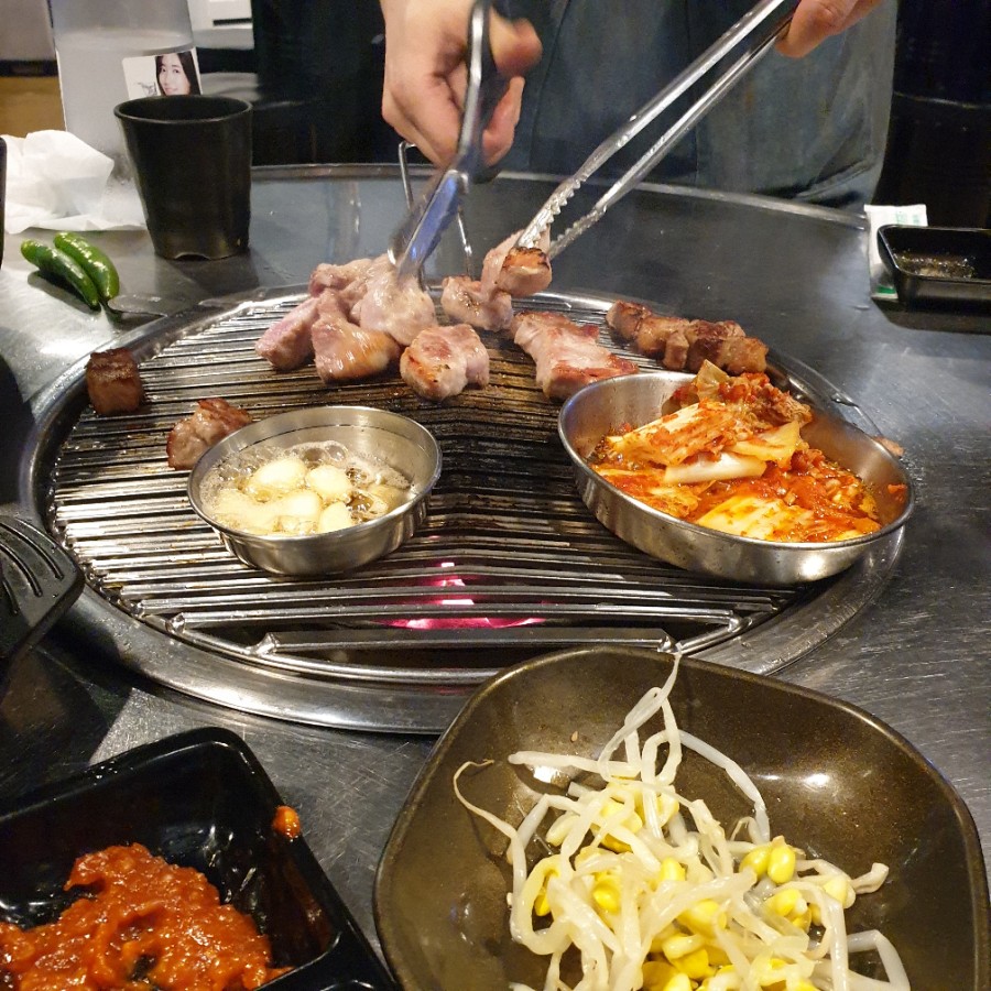 인생돼지 이미지