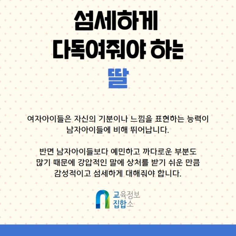 스팀에듀 이미지