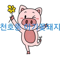 사거리청과 이미지