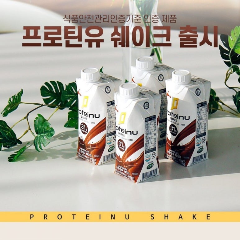 프로틴유 이미지