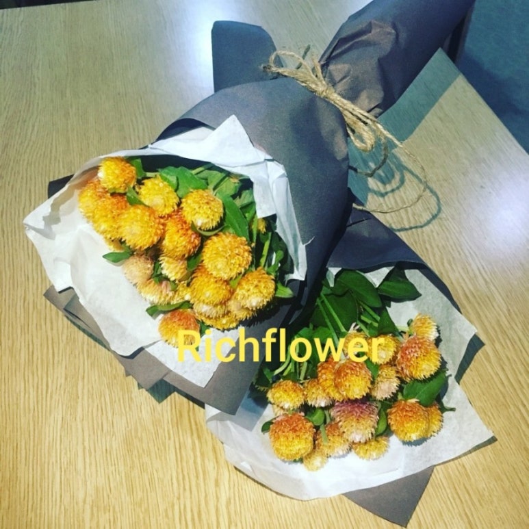 다돼지 이미지