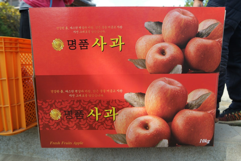 햇살담은농장 이미지