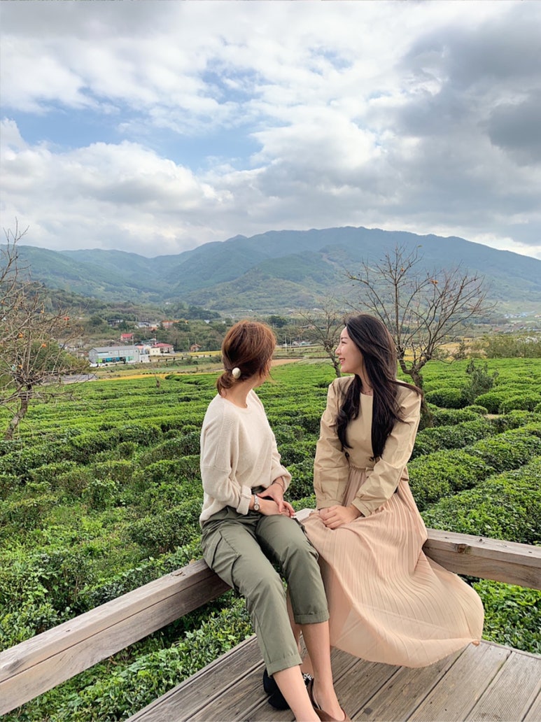 호롤로 이미지