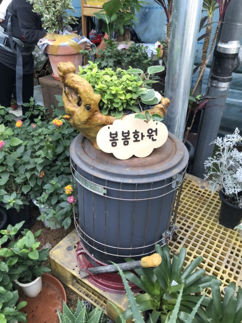 봄봄화원 이미지