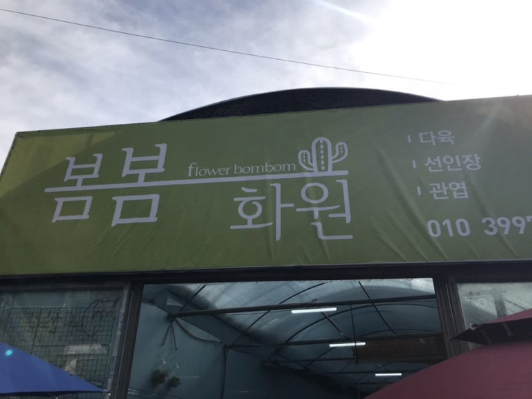 봄봄화원 이미지