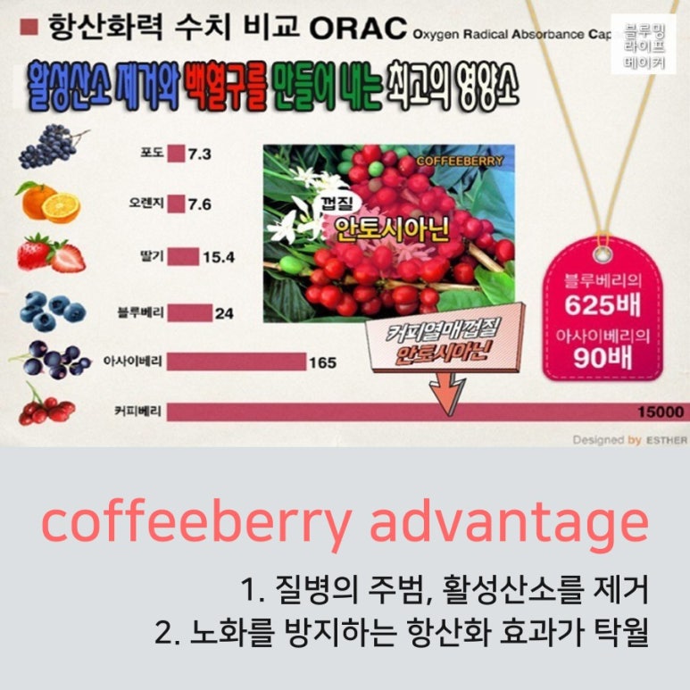 커피베리 이미지