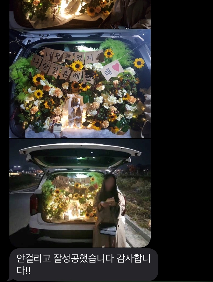 푸른생화 이미지