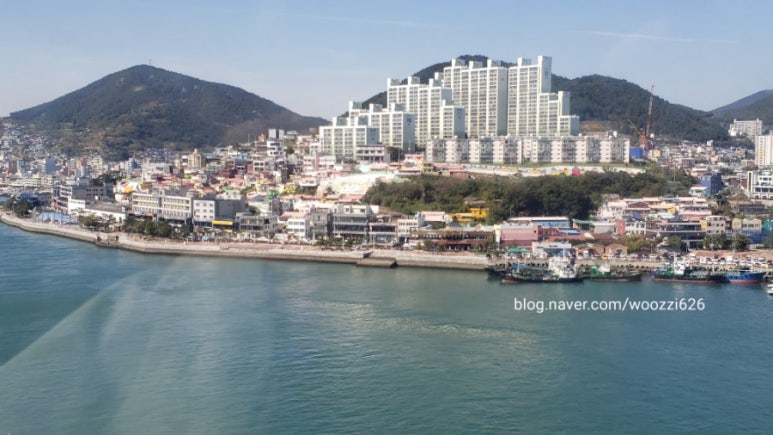 동수카 이미지